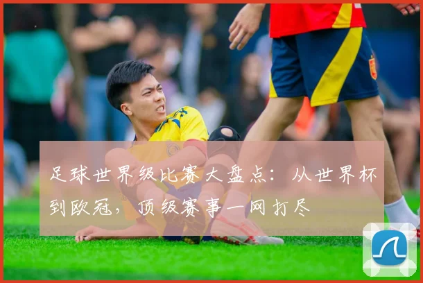 足球世界级比赛大盘点：从世界杯到欧冠，顶级赛事一网打尽