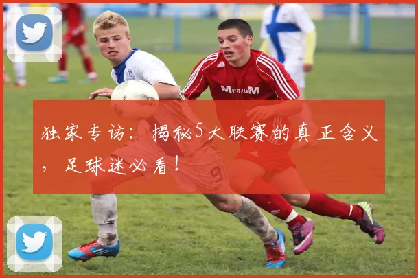 独家专访：揭秘5大联赛的真正含义，足球迷必看！